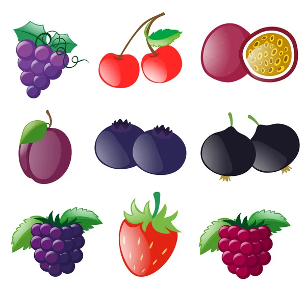 Verschiedene Arten von frischem Obst — Stockvektor