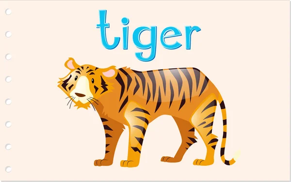 Flashcard tijger met word — Stockvector