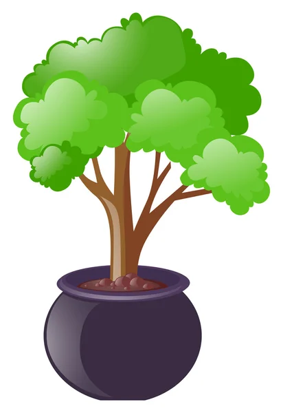 Arbre vert poussant dans le pot — Image vectorielle