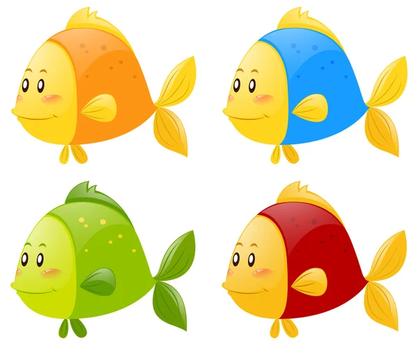 Fish in four different colors — Stock Vector