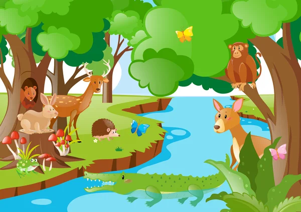 Many animals living by the river — Stock Vector