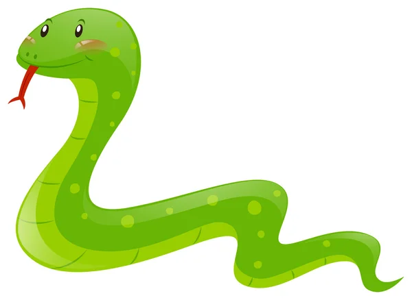 Serpiente con piel verde — Archivo Imágenes Vectoriales