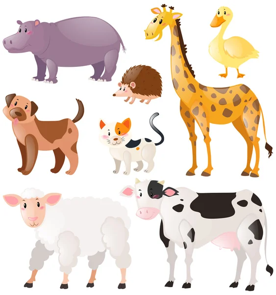 Conjunto de animales salvajes — Vector de stock