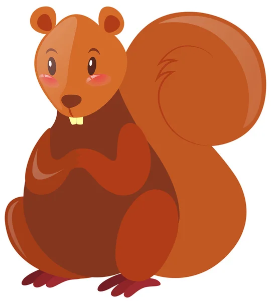 Eichhörnchen mit braunem Fell — Stockvektor