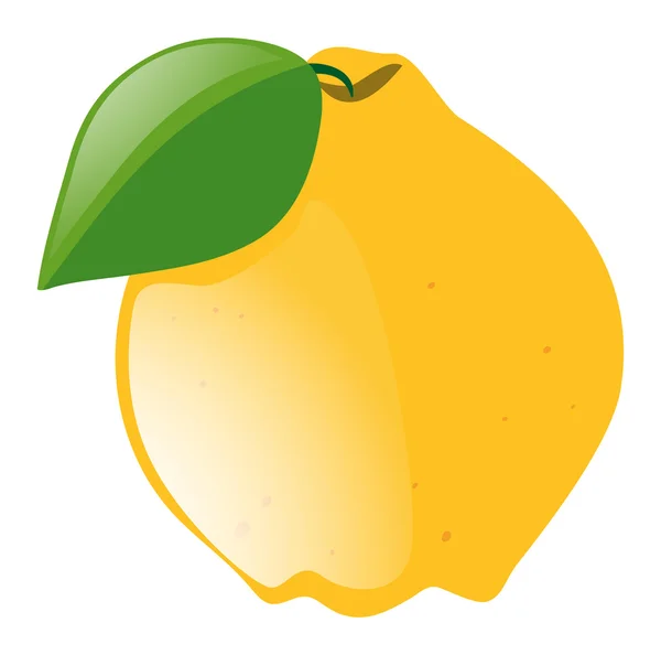 Färsk citron med grönt blad — Stock vektor