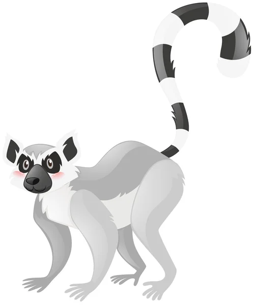 Vilda lemur på vit bakgrund — Stock vektor