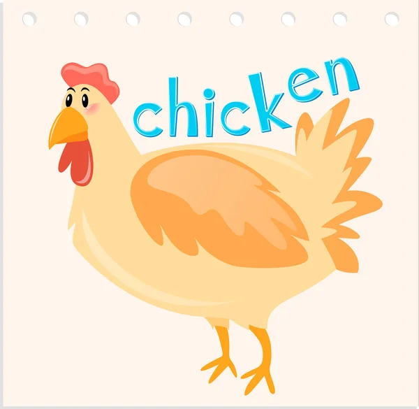 Flashcard with word chicken — Stock Vector