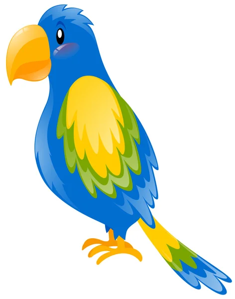 Loro con pluma azul y amarilla — Vector de stock