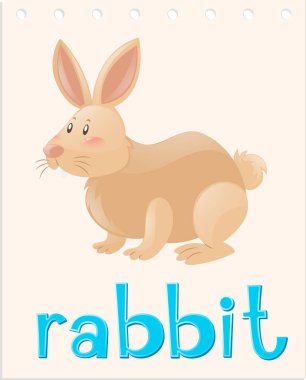 Tavşan ile hayvan flashcard