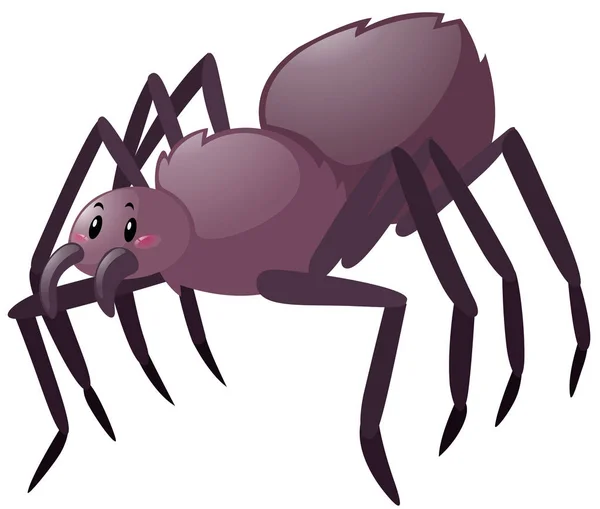 Araña salvaje sobre fondo blanco — Vector de stock