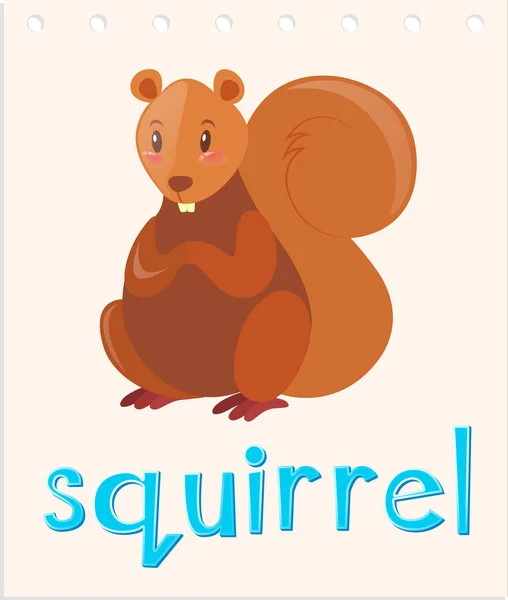 Flashcard with word squirrel — Stock Vector