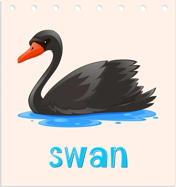 Flashcard animal avec cygne sur l'eau — Image vectorielle