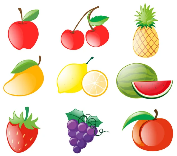 Diferentes tipos de frutas — Vector de stock