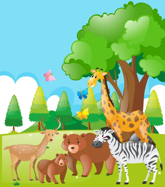 Wild animals in the field — Stock Vector