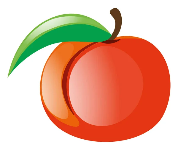 Färsk persika på vit bakgrund — Stock vektor
