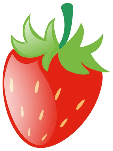 Frische Erdbeere auf weißem Hintergrund — Stockvektor