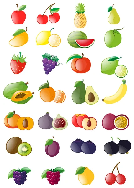 Diferentes tipos de frutas frescas — Vector de stock