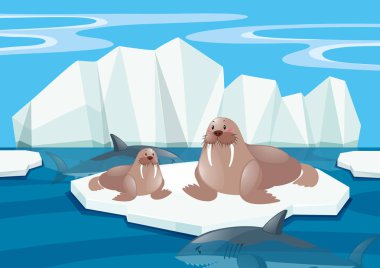 Mors ve Kuzey Kutbu köpekbalığı