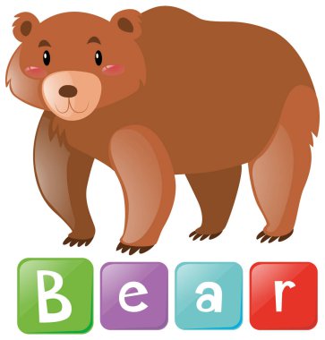 Word kart ile boz ayı