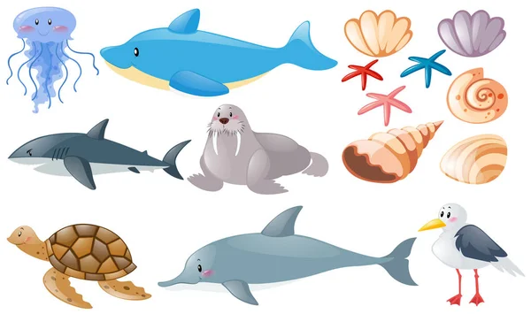 Diversi tipi di animali marini — Vettoriale Stock
