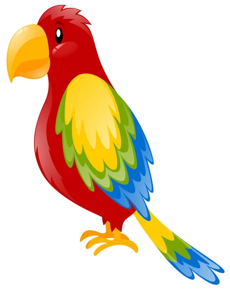 Perroquet avec plume colorée — Image vectorielle