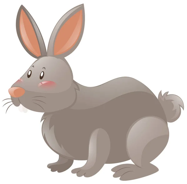 Kaninchen mit grauem Fell — Stockvektor