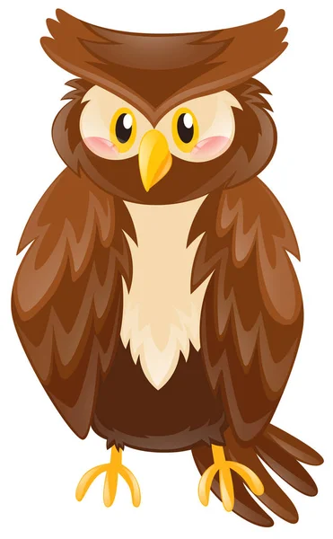 Cute owl with brown feather — Stock Vector