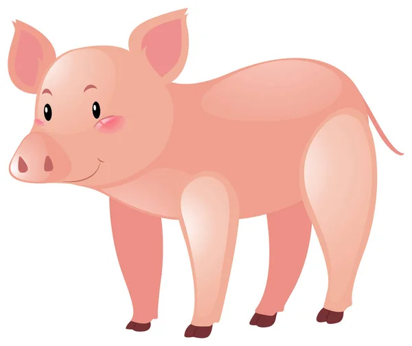 白色背景上的粉红猪 — 图库矢量图片