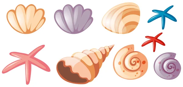 Différents types de coquillages — Image vectorielle