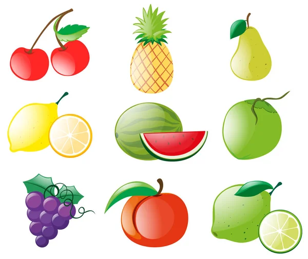 Diferentes tipos de frutas — Vector de stock