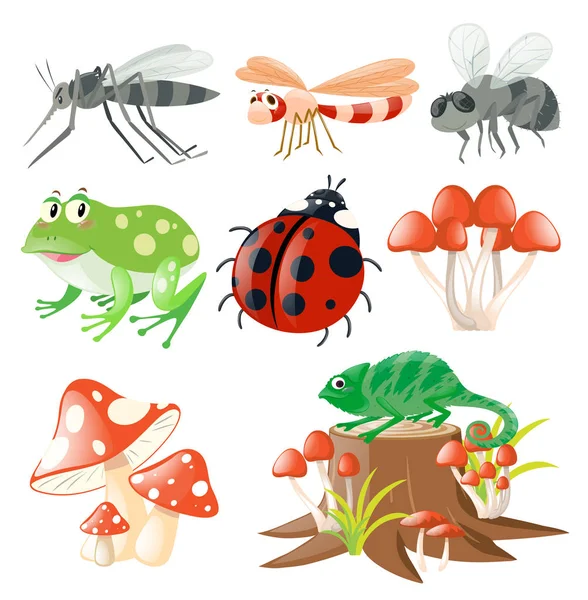 Different types of insects