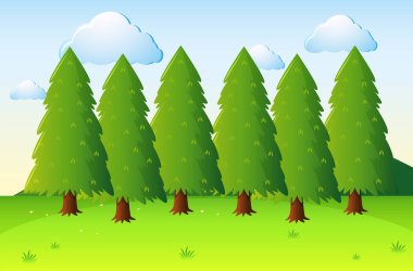 Çam ağaçları ve alan ile Park manzara