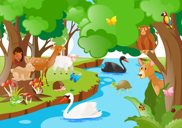 Escena forestal con muchos tipos de animales — Vector de stock