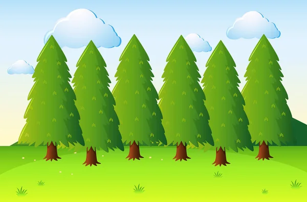 Escena del parque con pinos y campo — Vector de stock