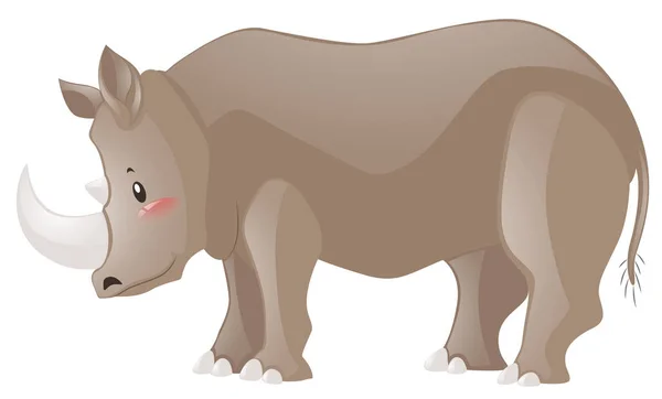 Lindo rinoceronte sobre fondo blanco — Archivo Imágenes Vectoriales