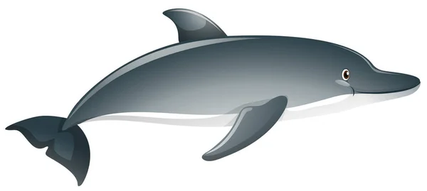 Gray dolphin on white background — Stock Vector