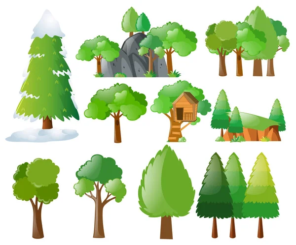 Diferentes tipos de árvores — Vetor de Stock