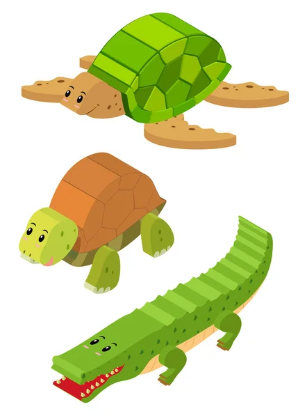 Conception 3D pour tortue et crocodile — Image vectorielle