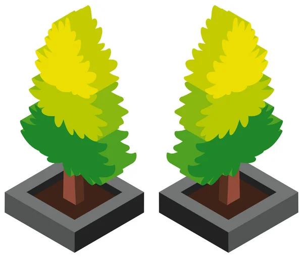 3D design pro borovice — Stockový vektor