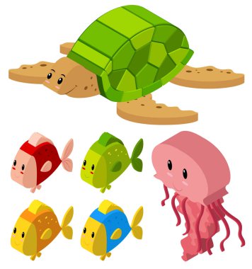 Balık ve kaplumbağa için 3D tasarım