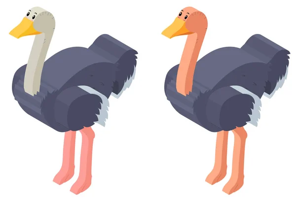 3D design pro ptáky pštros — Stockový vektor