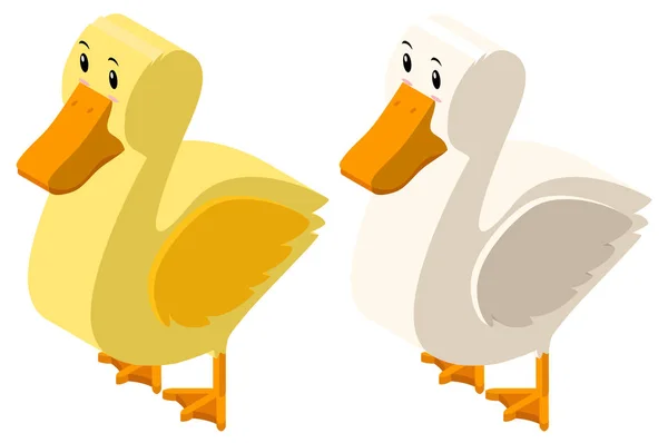 3D-Design für gelbe und weiße Enten — Stockvektor