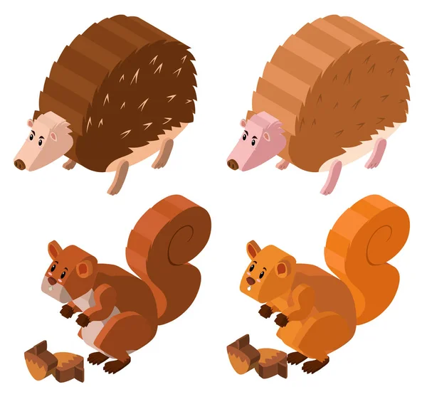 3D design for hedgehogs and squirrels — Stock Vector