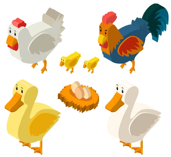 Conception 3D pour poulets et œufs — Image vectorielle