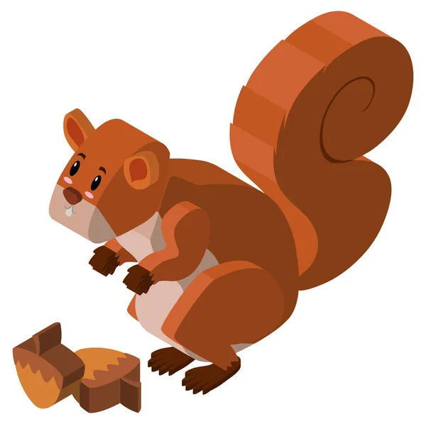 3D-Design für Eichhörnchen und Walnuss — Stockvektor