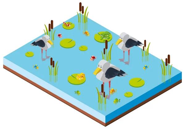 Scène d'étang avec des oiseaux dans la conception 3D — Image vectorielle