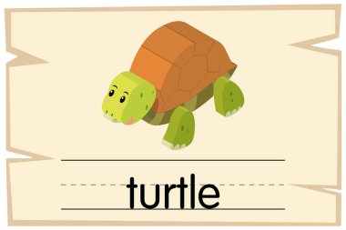 Wordcard kelime kaplumbağa ile