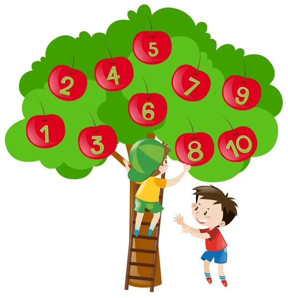 Καταμέτρηση αριθμών με τα μήλα στο δέντρο — Διανυσματικό Αρχείο