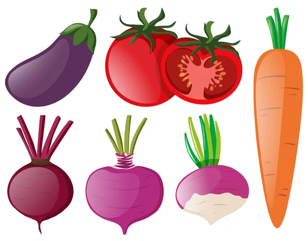 Diferentes tipos de verduras coloridas — Vector de stock