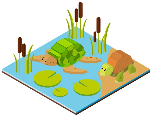 Scène d'étang avec deux tortues dans la conception 3D — Image vectorielle